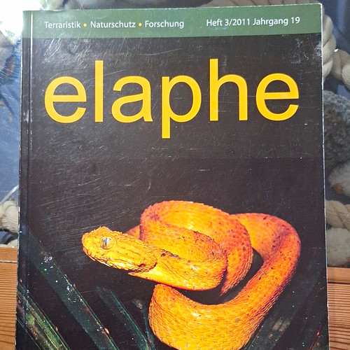 Elaphe zeitschrift heft 2011 - zeitschrift, 3/2011
