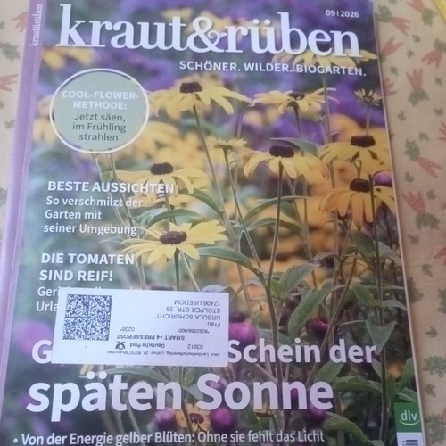Kraut rüben 2026 - kraut,