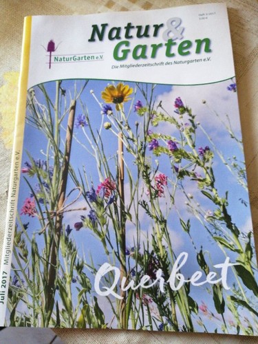 Natur garten juli 2017 - natur,