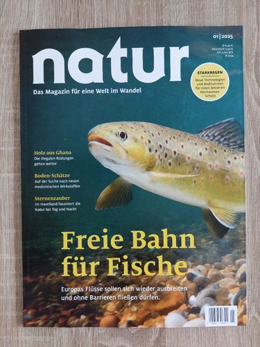 Natur 2025 januar - 01/,